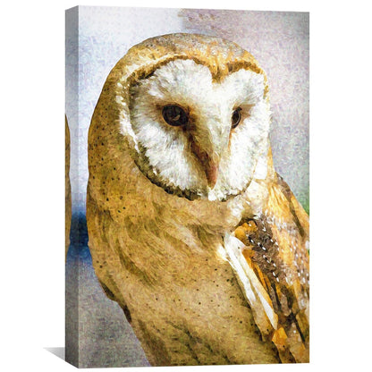 Rynx | Barn Owl Canvas