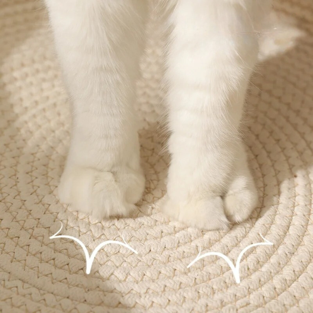 Rynx | Handwoven cotton rope bed for cat - CozyNest