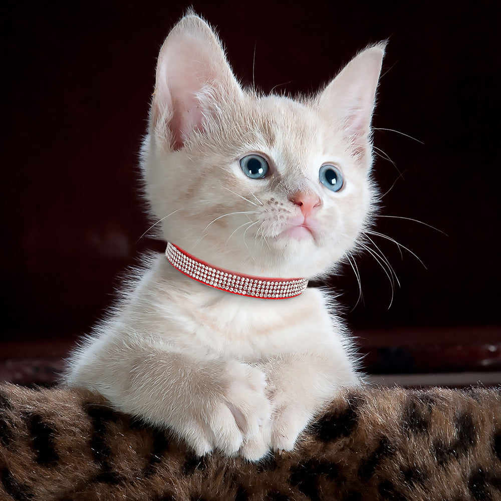 Rynx | Soft Suede Rhinestone Cat Collar