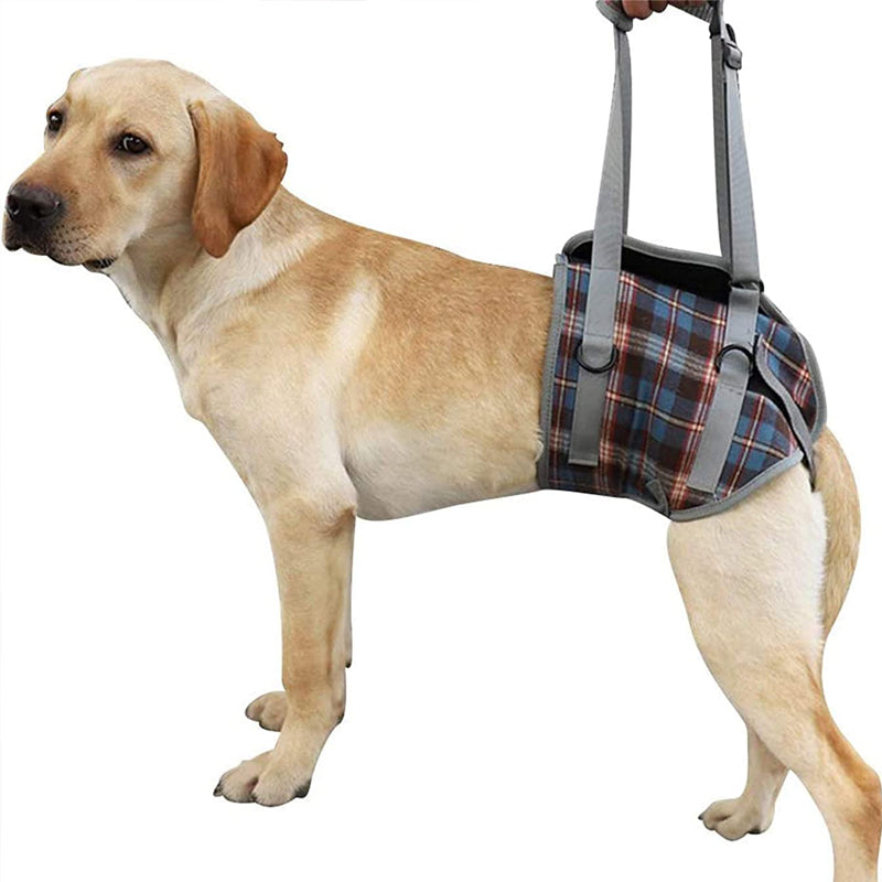 RYNX | Orthopedic Strap For Hind Legs
