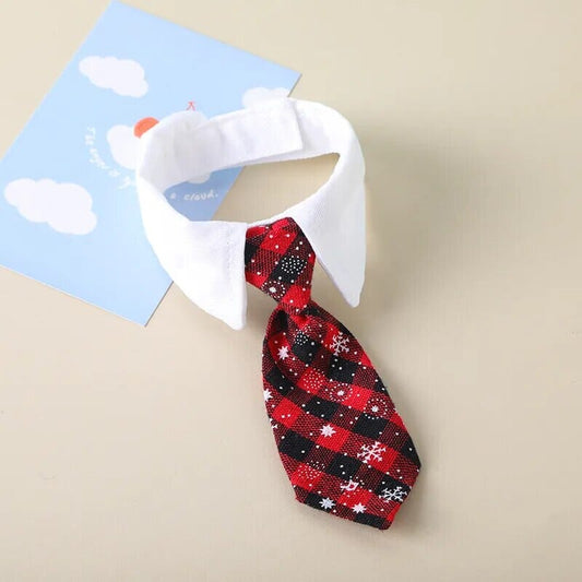 Rynx | formal collar