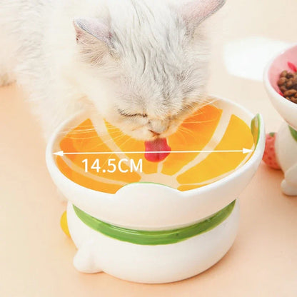 Rynx | Slanted elevated ceramic cat bowl