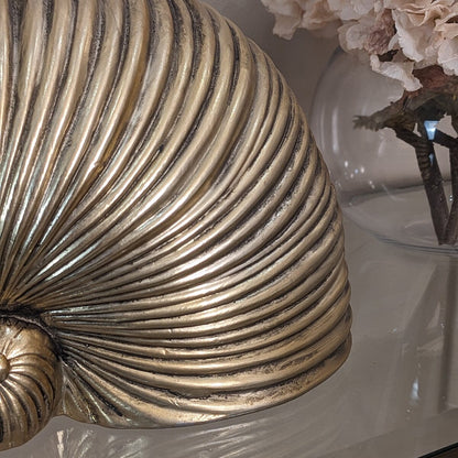 Rynx | Bianco Gold Shell Decorative Ornament