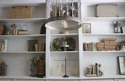 Rynx | Birdcage chandelier