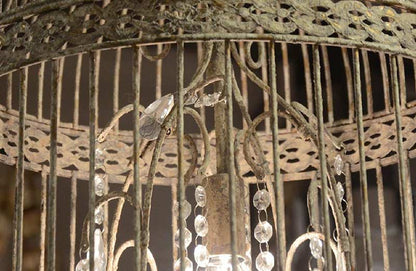 Rynx | Birdcage chandelier