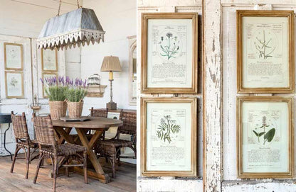 Rynx | *HUGE* Framed Botanical Art Prints Set of 4