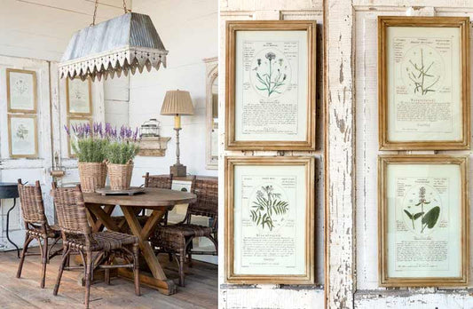 Rynx | *HUGE* Framed Botanical Art Prints Set of 4