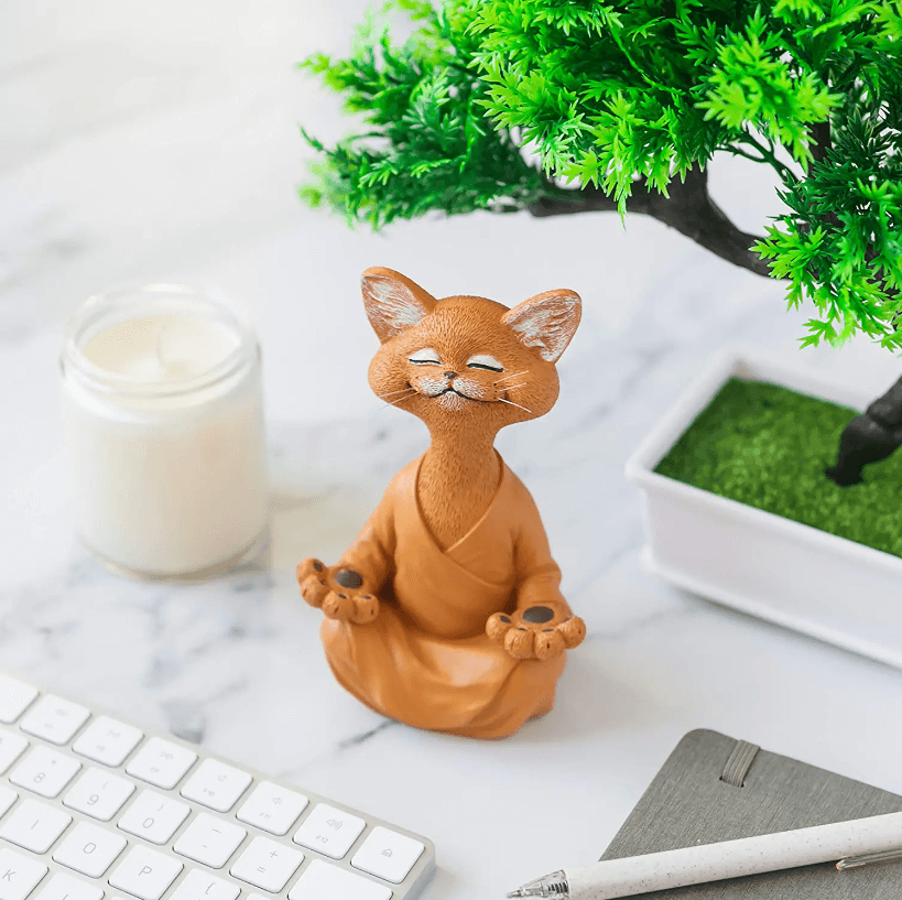 Rynx | Buddha Cat