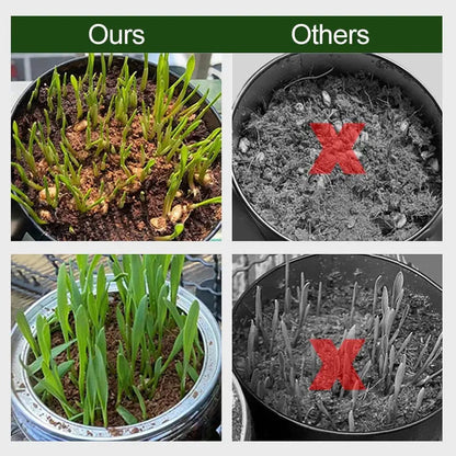 Rynx | Organic coconut fiber soil alternative for horticulture