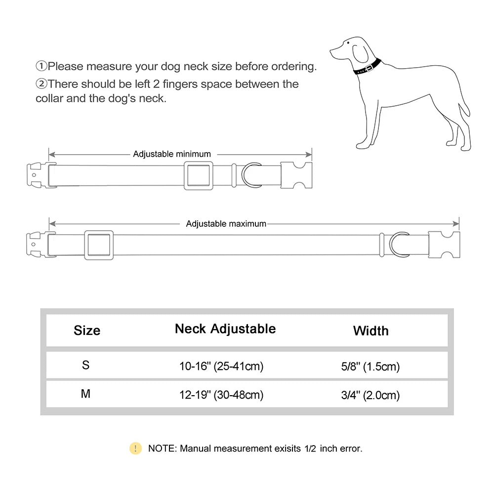 Rynx | Adjustable Nylon Dog Collar