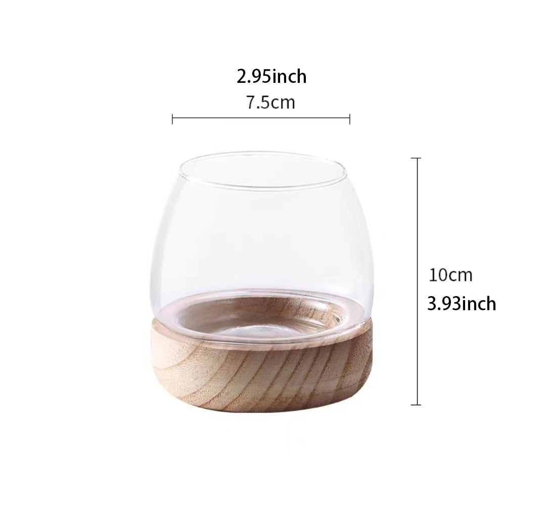 Rynx | Elegant Glass Desktop Fish Tank