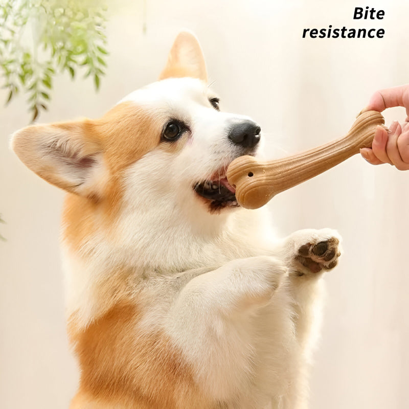Rynx | Bite-Resistant Dog Chew Toy