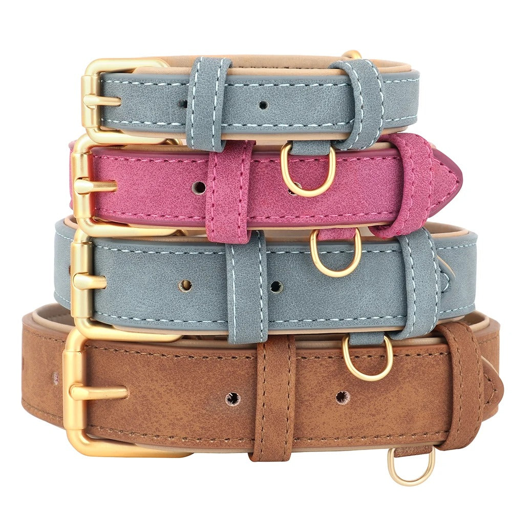 Rynx | Soft Leather Padded Dog Collar Adjustable and Durable for Small and Medium Dogs