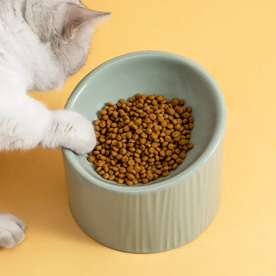 Rynx | Elevated Ceramic Bevel Bowl for Cats and Dogs - Protects Cervical Spine