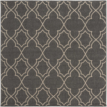 Rynx | Black modern farmhouse outdoor rug