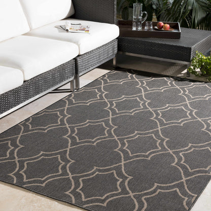 Rynx | Black modern farmhouse outdoor rug