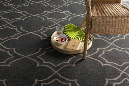 Rynx | Black modern farmhouse outdoor rug