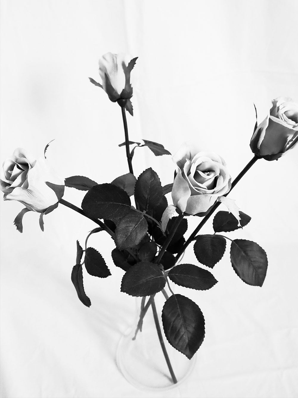 Rynx | Cutie Beauty