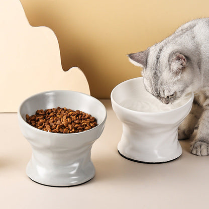 Rynx | Raised Ceramic Cat and Small Dog Bowl