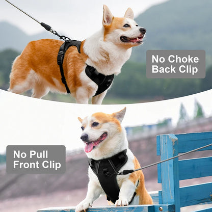 Rynx | Reflective No-Pull Mesh Nylon Dog Harness for Medium to Large Dogs