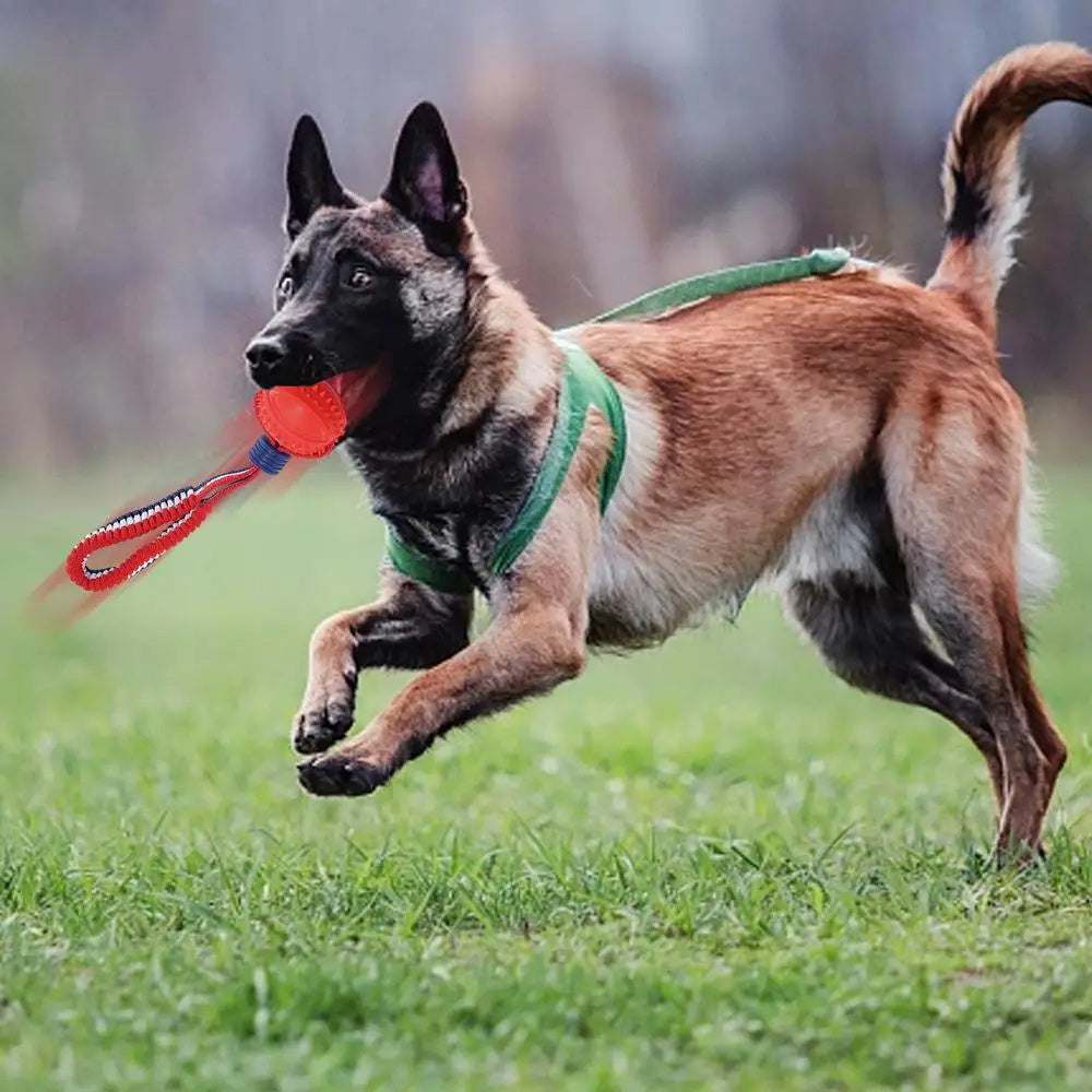 Rynx | Interactive dog toy ball with rope.