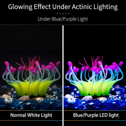 Rynx | Aquarium Glowing Coral Effect Silicone Decoration
