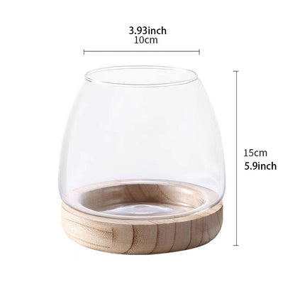 Rynx | Elegant Glass Desktop Fish Tank