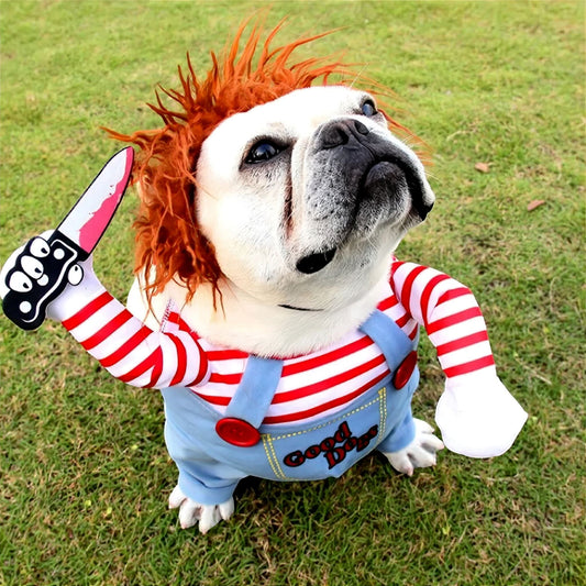 Rynx | Pet Costume