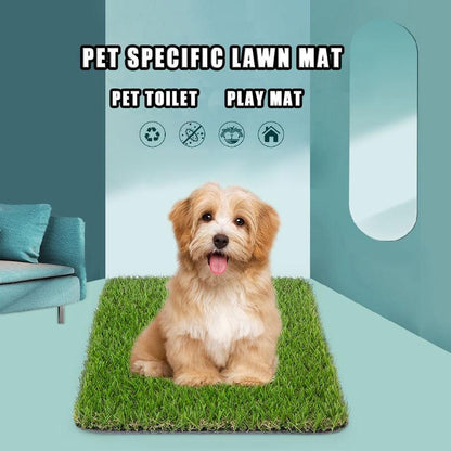 Rynx | Simulation Lawn Mat for Pets