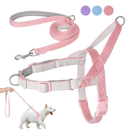 Rynx | Adjustable No-Pull Dog Harness and Leash Set - Soft, Durable, Lightweight for Pitbull and All Breeds