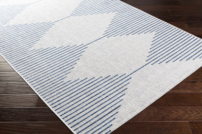 Rynx | Blue and Cream Outdoor Carpet