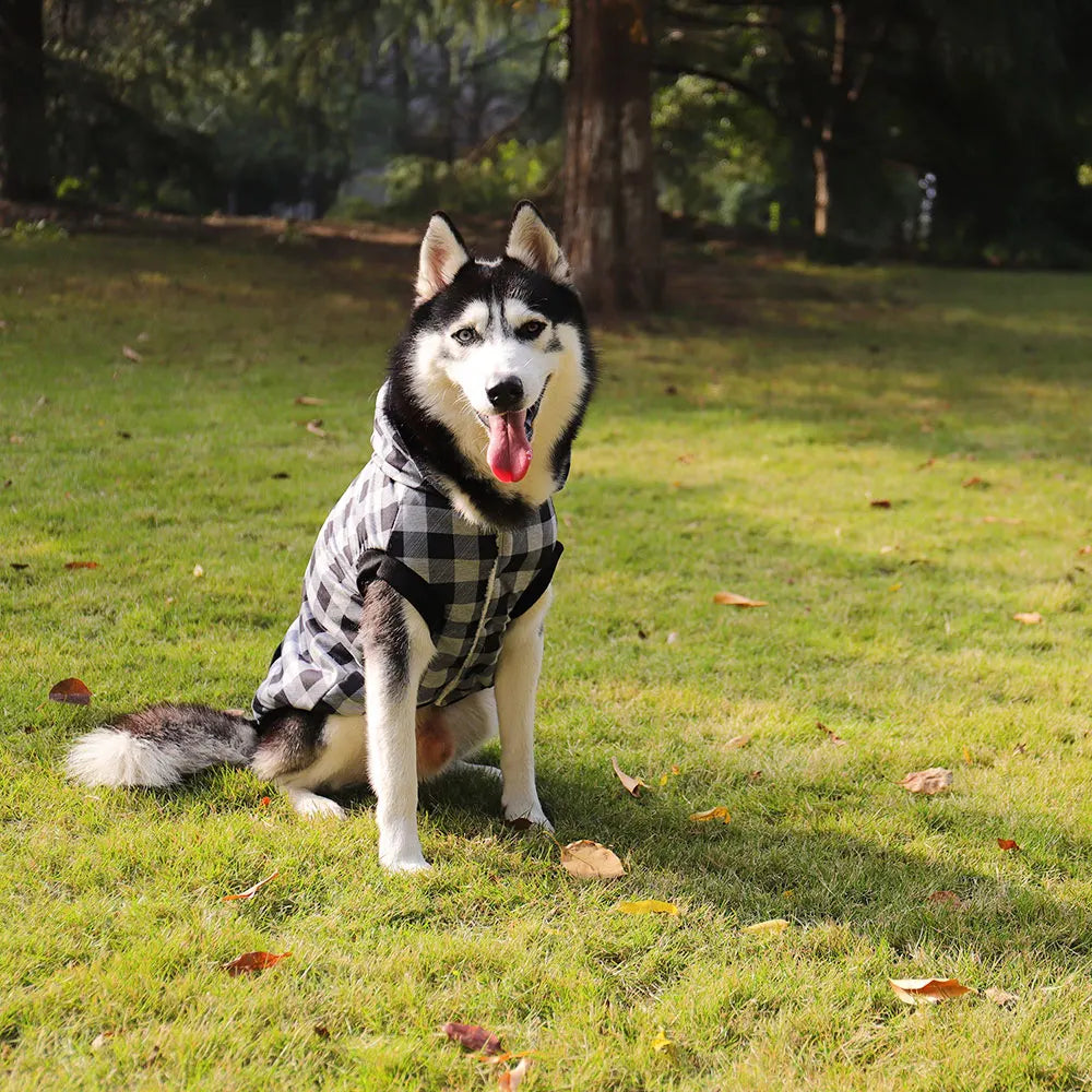 Rynx | Large pet dog winter jacket with removable hood
