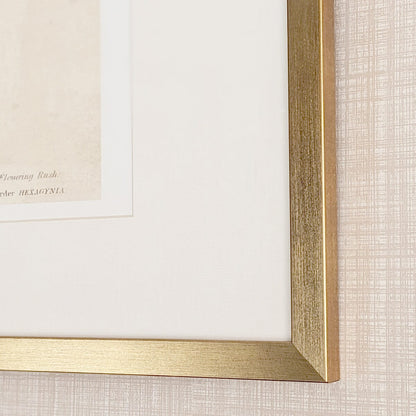 Rynx | Diana Gold Framed Neutral Flower Wall Art - II