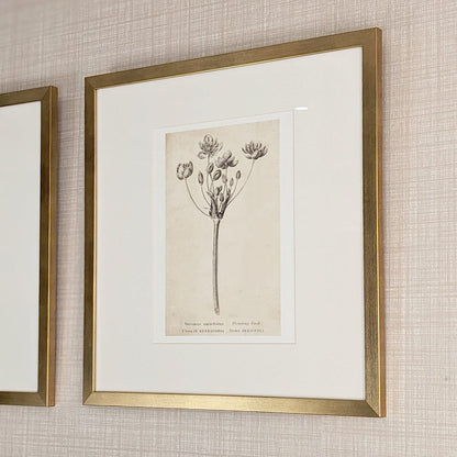 Rynx | Diana Gold Framed Neutral Flower Wall Art - II