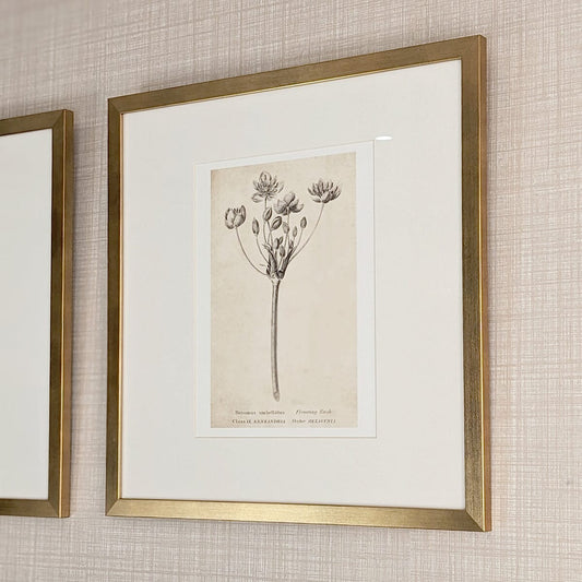 Rynx | Diana Gold Framed Neutral Flower Wall Art - II