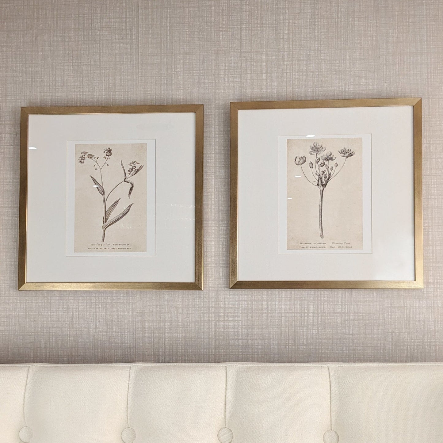 Rynx | Diana Gold Framed Neutral Flower Wall Art - II