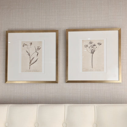Rynx | Diana Gold Framed Neutral Flower Wall Art - II