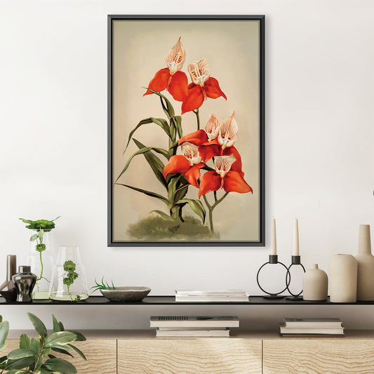 Rynx | Disa Uniflora Orchid Canvas