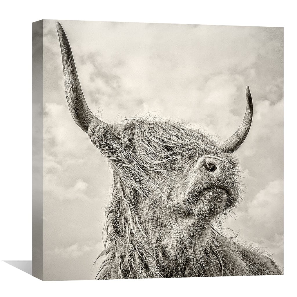 Rynx | Distant Glances Canvas