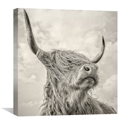 Rynx | Distant Glances Canvas