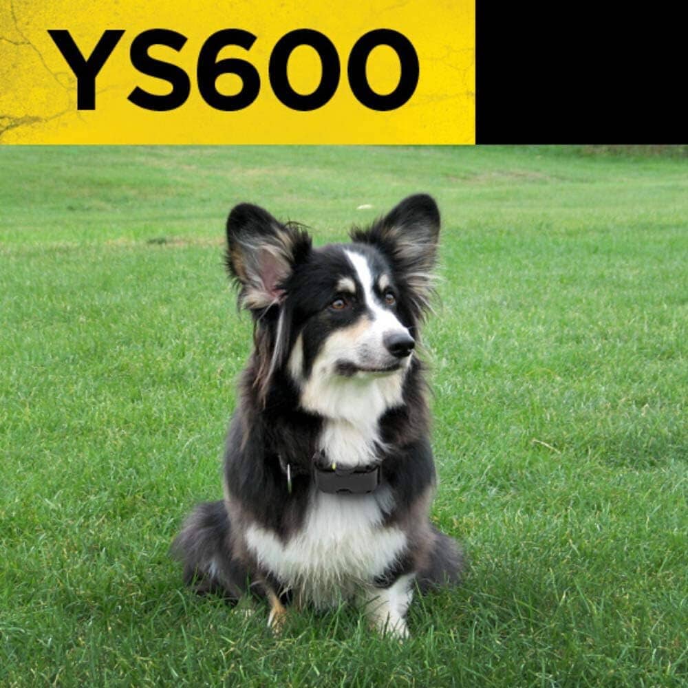 Rynx | Dogtra YS600 No Bark Collar (Refurbished)