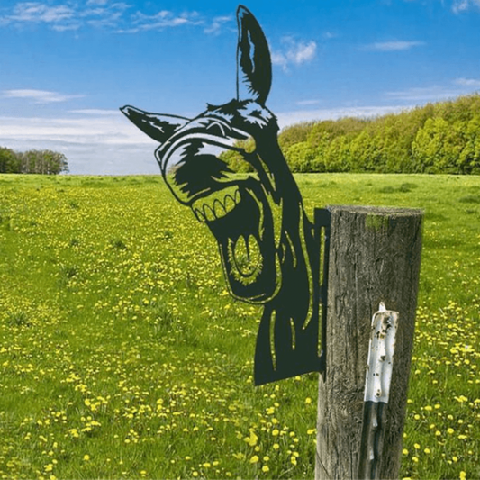 Rynx | Peek-A-Boo - Animal Garden Decoration