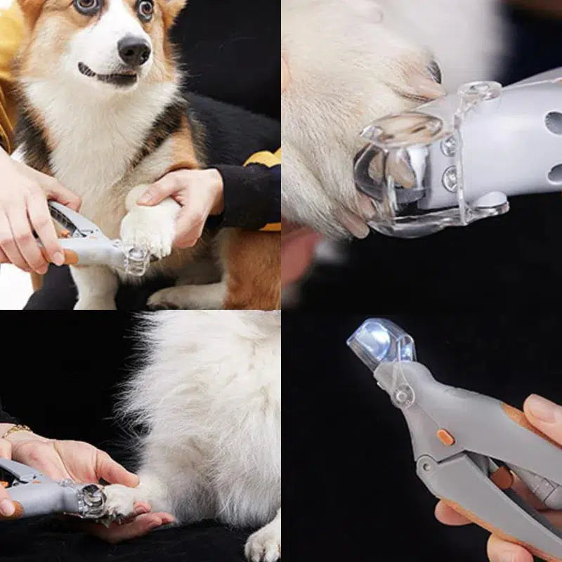 RYNX | Max - Best Nail Clipper For Dogs With Quick Sensors