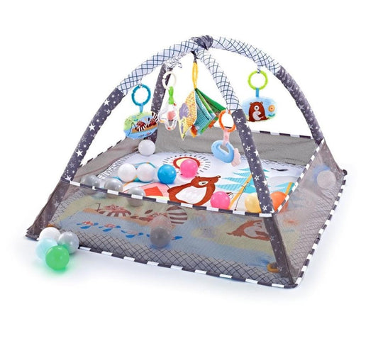 Rynx | Baby Activity Gym & foldable play mat with 18 balls