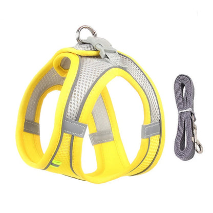 Rynx | Adjustable Summer Mesh Harness and Leash Set for Small Dogs and Cats