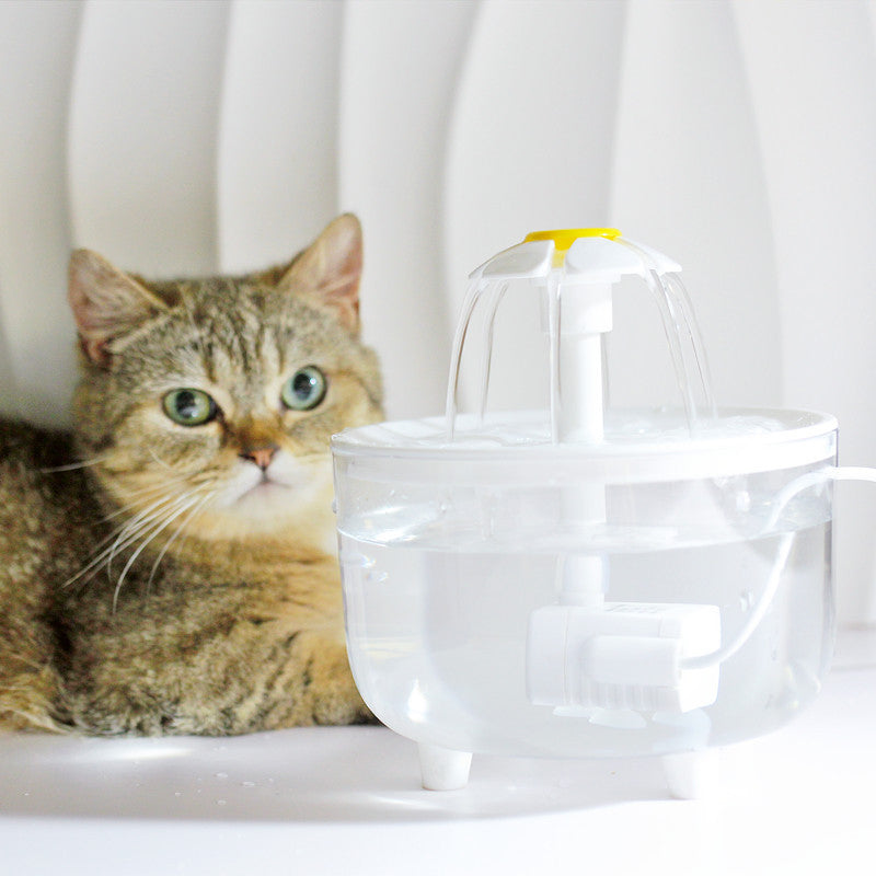 Rynx | 1000ML USB Cat Water Fountain with Auto Filter & Prevention Pump Sensor