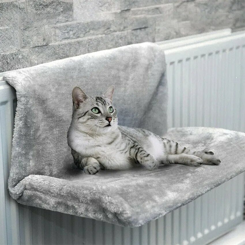 Rynx | Cat Bed-Canopy