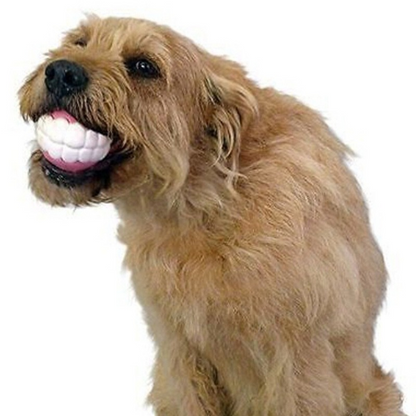 Rynx | Silicone Chew Toy for Large Breeds