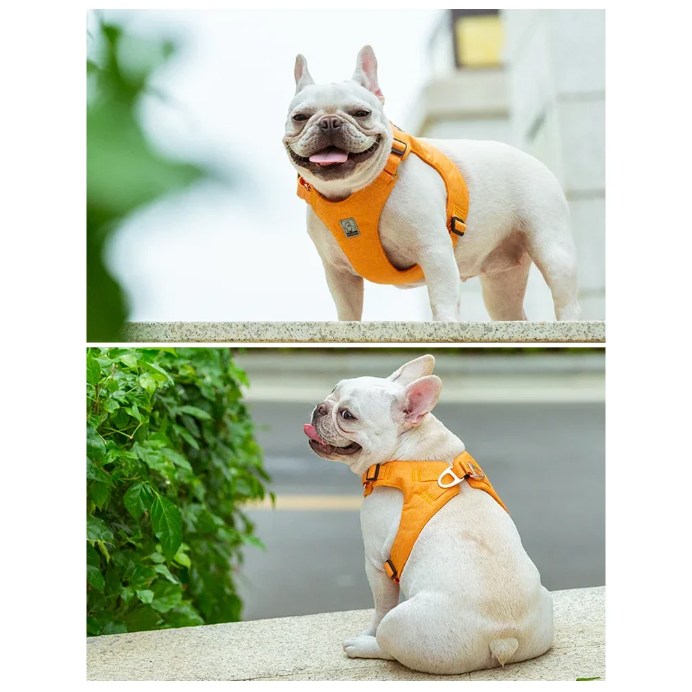 Rynx | Eco-Friendly Adjustable No-Pull Pet Harness