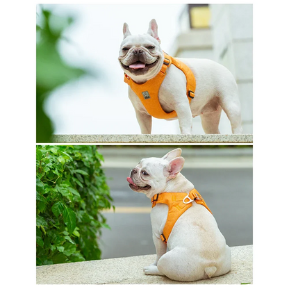 Rynx | Eco-Friendly Adjustable No-Pull Pet Harness